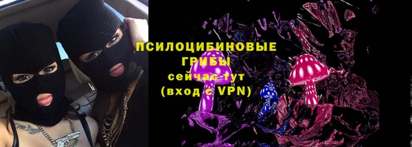 прущие грибы Алексеевка