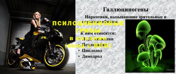 прущие грибы Алексеевка