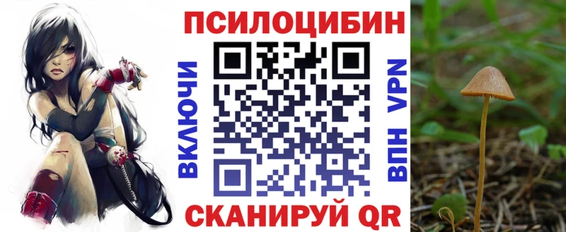 МЕГА tor  Новоуральск  Псилоцибиновые грибы Psilocybine cubensis 