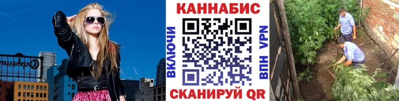 МАРИХУАНА сатива  Новоуральск 